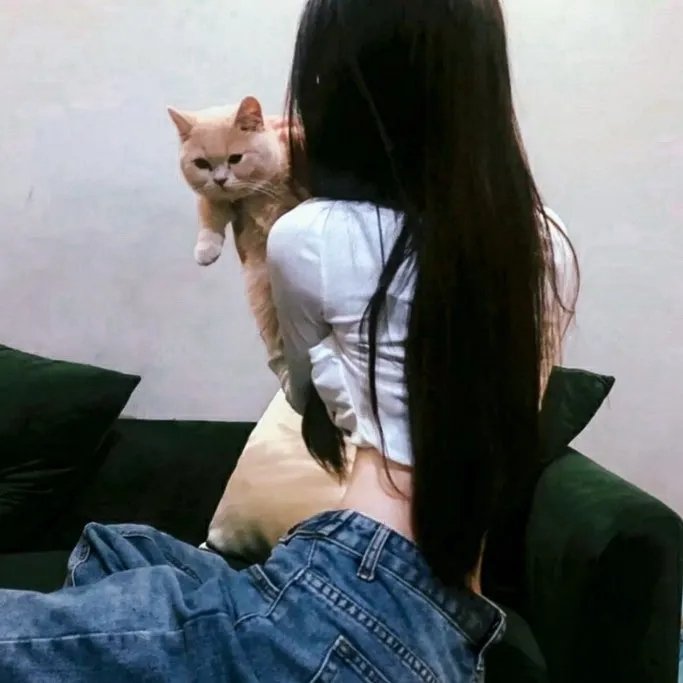 马克辛的归来